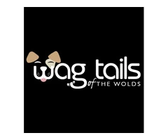 Wagtails of the Wolds