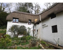 Thatch roof repairs