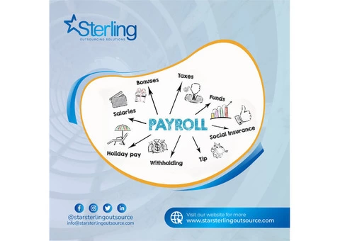 Star Sterling Offer Payroll Outsourcing Services in London - 2/2