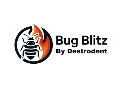 Rapid Chemical Free Bed Bug Control for Surrey Homes