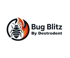 Rapid Chemical Free Bed Bug Control for Surrey Homes