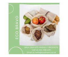 Sustainable Back-to-School Products for a Greener Year