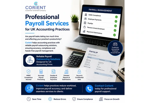 Professional Payroll Services for UK Accounting Practices