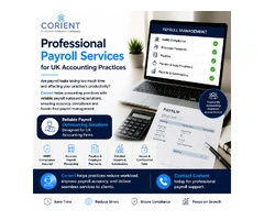 Professional Payroll Services for UK Accounting Practices