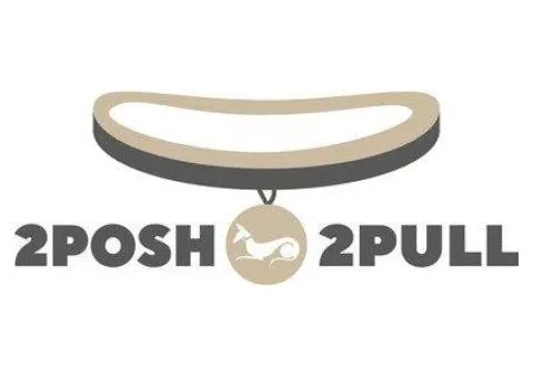 Best Collar for Dogs That Pull | 2Posh2Pull