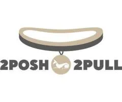 Best Collar for Dogs That Pull | 2Posh2Pull