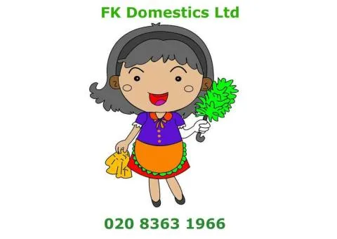Domestic Cleaning in London - 1/10