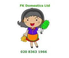 Domestic Cleaning in London