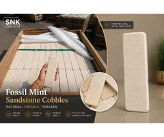 Bulk Fossil Mint Sandstone Cobbles Trade Supply