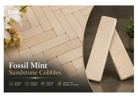 Bulk Fossil Mint Sandstone Cobbles Trade Supply - 2/2