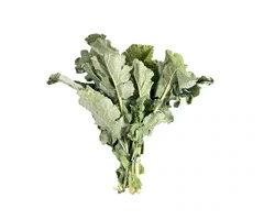 Buy Fresh Herbs Online UK | Food Bazaar