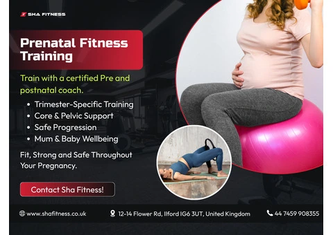 Prenatal Fitness & Women’s Wellness Training | Sha Fitness