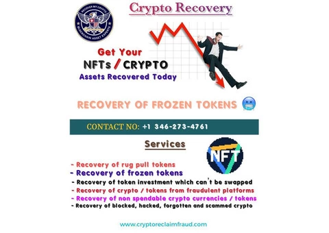 Crypto Recovery Services & Private Key Hack Solutions - 6/6