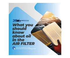 What You Should Know About Oil in the Air Filter