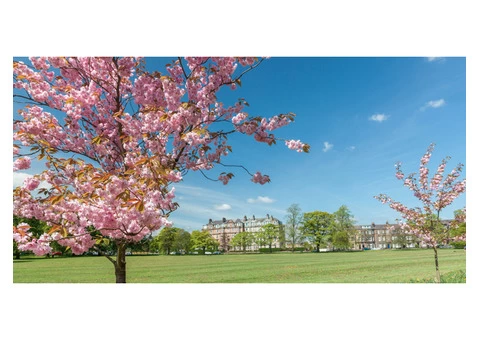 Harrogate Accommodation in Uk