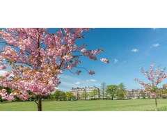 Harrogate Accommodation in Uk