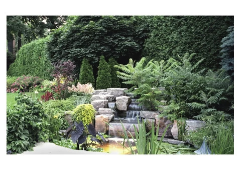 If you need landscaping for your garden in Twickenham, reach us now!