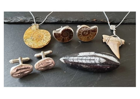 Fossil Jewelry  Our Jurassic Jewellery Collection - 1/6