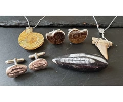 Fossil Jewelry  Our Jurassic Jewellery Collection