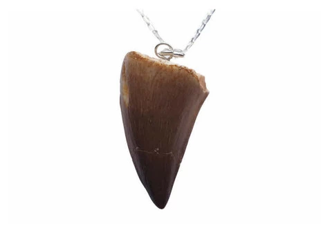 Fossil Jewelry  Our Jurassic Jewellery Collection - 6/6