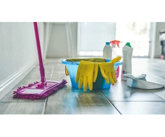 Polish Male Cleaner in Cambridge