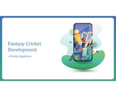 Fantasy Cricket Development- Nimble Appgenie