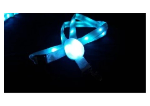 LED Light Lanyard - Xylobands