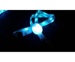 LED Light Lanyard - Xylobands