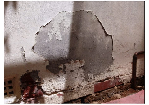 How to Treat Rising Damp - Fixrot.co.uk
