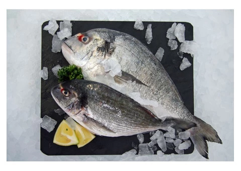 Fresh Fish Box Delivery Bristol - Fishmonger Bristol - 2/6