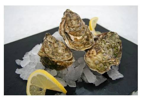 Fresh Fish Box Delivery Bristol - Fishmonger Bristol - 4/6