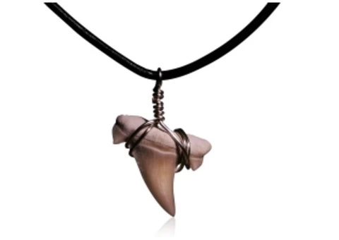 How do we deliver shark tooth necklaces? - 1/4