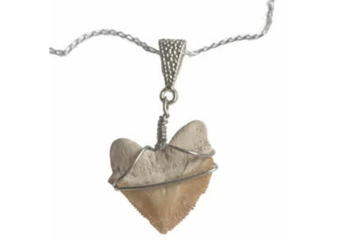 How do we deliver shark tooth necklaces? - 2/4