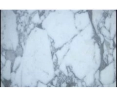 Arabescato Carrara Marble