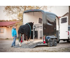 Looking for Horse Transport Specialists in London?