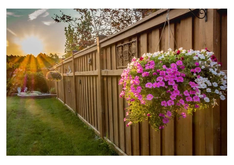 Are you looking for Fencers in Windsor?