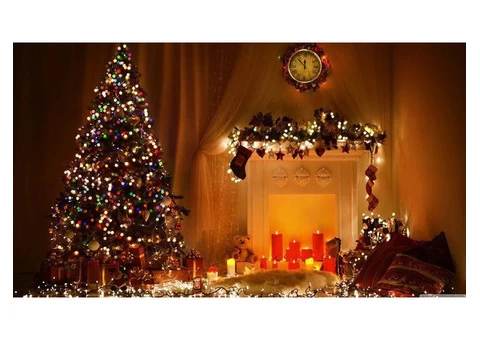 Christmas Backdrop - 1/4