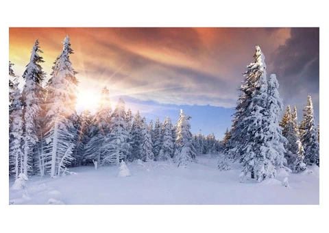 Christmas Backdrop - 2/4