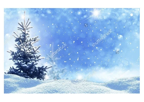 Christmas Backdrop - 3/4