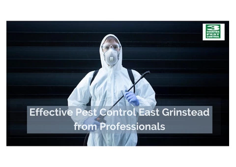 Effective Pest Control East Grinstead from Professionals