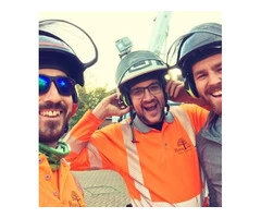 Looking for an Expert Tree Surgeons in Weymouth