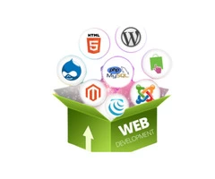 Increase Lead Generation with Co-Lab- Best Digital Marketing Agency in Hertfordshire