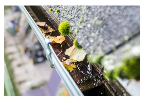 Are You Looking For Gutter Cleaning in Derby?