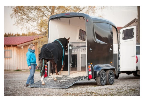 Local Equine Transport London
