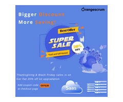 Project Management Software Thanksgiving and Black Friday Sales