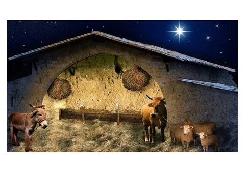 Nativity Scene Backdrop