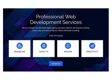 Affordable Responsive Website Designing & Web App Development - 7/10
