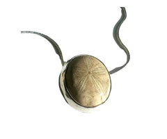 Fossil Jewelry  from Our Jurassic Jewellery Collection