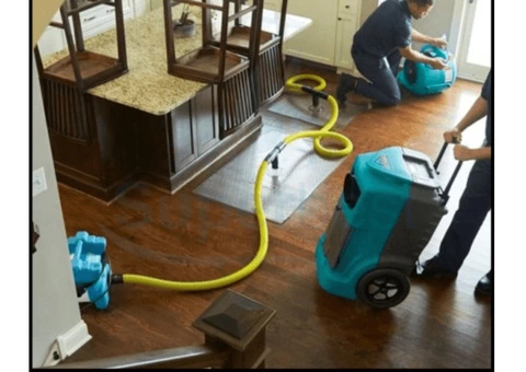 Looking for Water Extraction Services in London ?