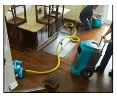 Looking for Water Extraction Services in London ?